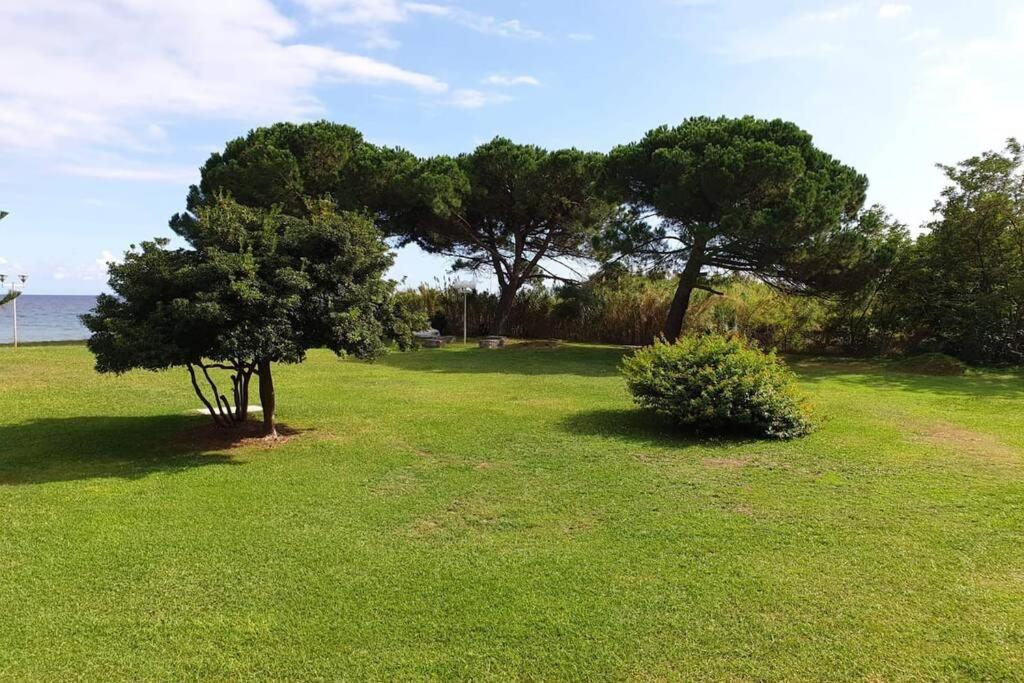 Studio Bord De Mer - Piscine - Plage ซาน-นิโกเลา ภายนอก รูปภาพ